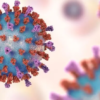 Thousands More Vulnerable Adults to Receive RSV Vaccine from september