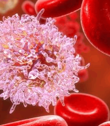 New Trial Investigates Chemotherapy-Free Treatment for Hairy Cell Leukaemia