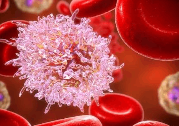 New Trial Investigates Chemotherapy-Free Treatment for Hairy Cell Leukaemia